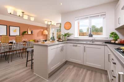 Forest Walk - Image 7