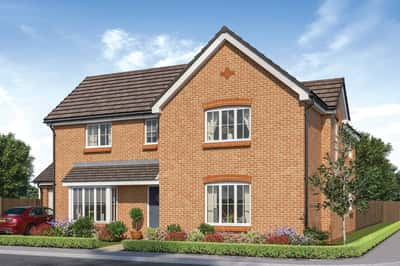 Hollytree Walk - Image 3