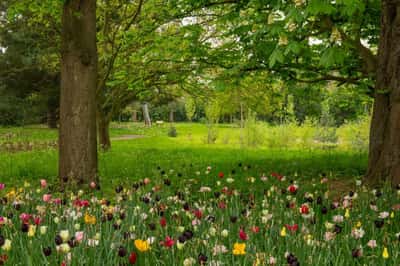 Huntercombe Walk - Image 4