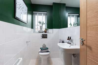 Lucas Green - Image 13