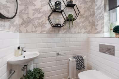 Lucas Green - Image 14