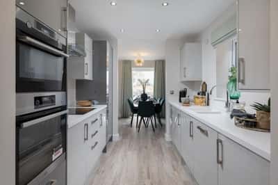 Lucas Green - Image 8