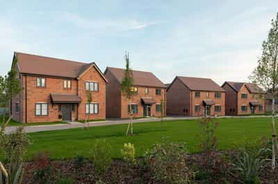 Maple Creek - Image 3