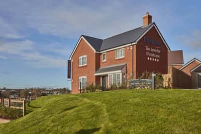 Poppy View - Image 1