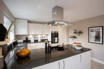 Rhiwlas at Plasdŵr - Image 9