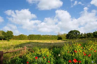 Tattenhoe Park - Image 18