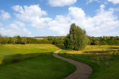 Tattenhoe Park - Image 19