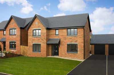 The Withers - Image 2