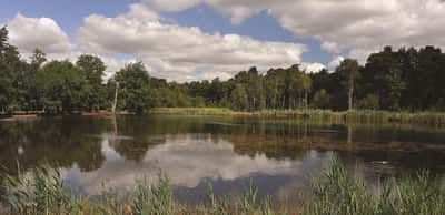 Albury Place - Image 10