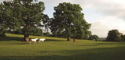 Albury Place - Image 12