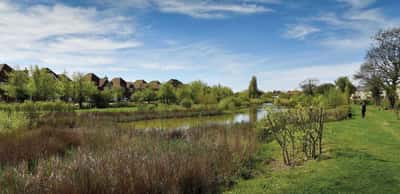 Bersted Park - Image 6