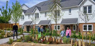 Foal Hurst Green - Image 11