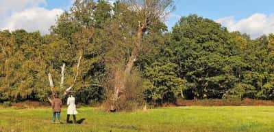 Holmhurst Mews - Image 7