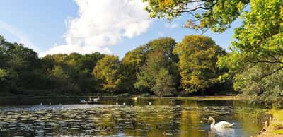 Holmhurst Mews - Image 8