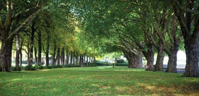 Langham Square - Image 12