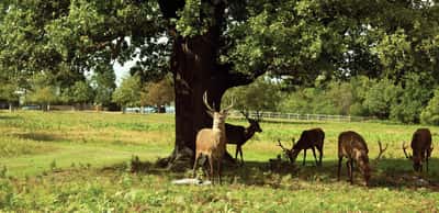 Langham Square - Image 13