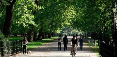 Parkside Collection at Chelsea Bridge Wharf - Image 7