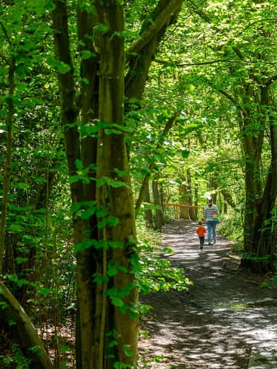 Pinewood Green - Image 14