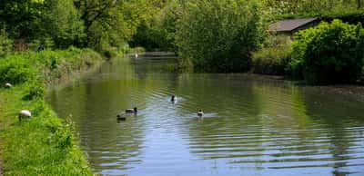 Pinewood Green - Image 15