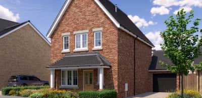 The Woodland Collection - Image 1