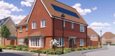 The Woodland Collection - Image 12