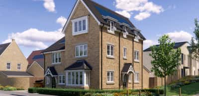 The Woodland Collection - Image 2