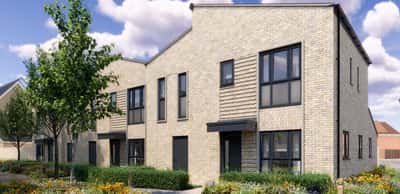 The Woodland Collection - Image 8