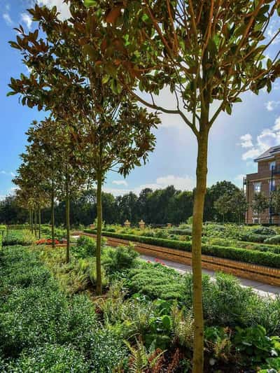 Wimbledon Hill Park - Image 3