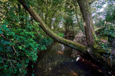 Albany Park - Image 8