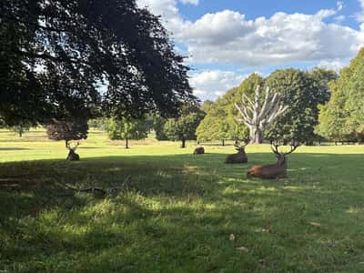 Bovis Homes at Linby Meadows - Image 3