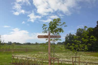 Broxborough Park - Image 10