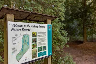 Elsenham Brook - Image 1