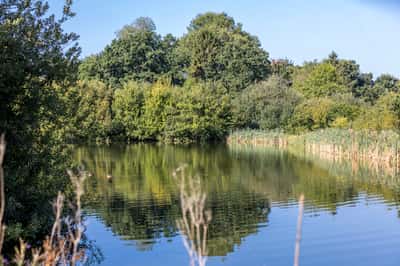 Elsenham Brook - Image 5