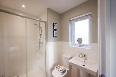 Haddon Peake - Image 10