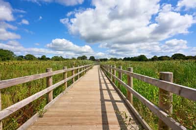 Minerva Heights - Image 3