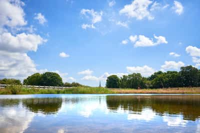 Minerva Heights - Image 8