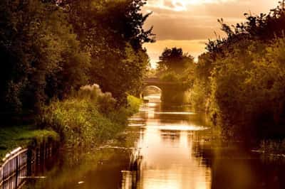 Orchard Green - Image 10