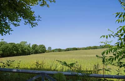 Summerhill Gardens - Image 10