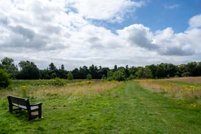 The Skylarks - Image 10