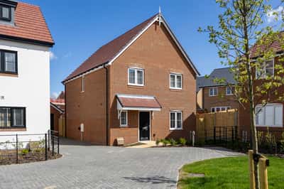 The Skylarks - Image 4