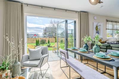 Ballagan Woods - Image 3