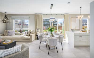 Ballagan Woods - Image 4