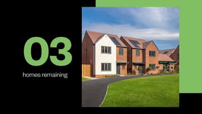 Chestnut Fields - Image 1