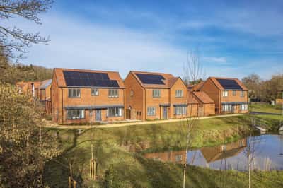 Chestnut Fields - Image 10