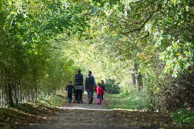 Ingatestone Grove, Ingatestone - Image 7