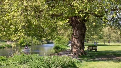 Kings Barton at Monarchs Mead - Image 9