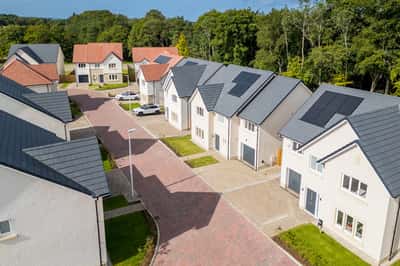 Pinefields, Livingston - Image 2