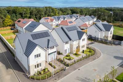 Pinefields, Livingston - Image 9