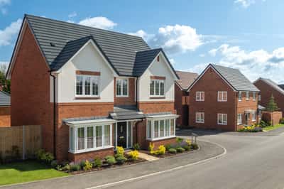 The Orchards - Image 6