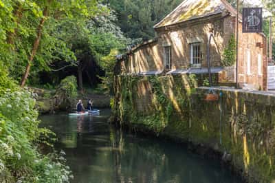 The Willows - Image 7